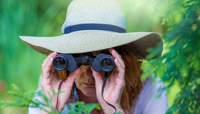 binoculars grid