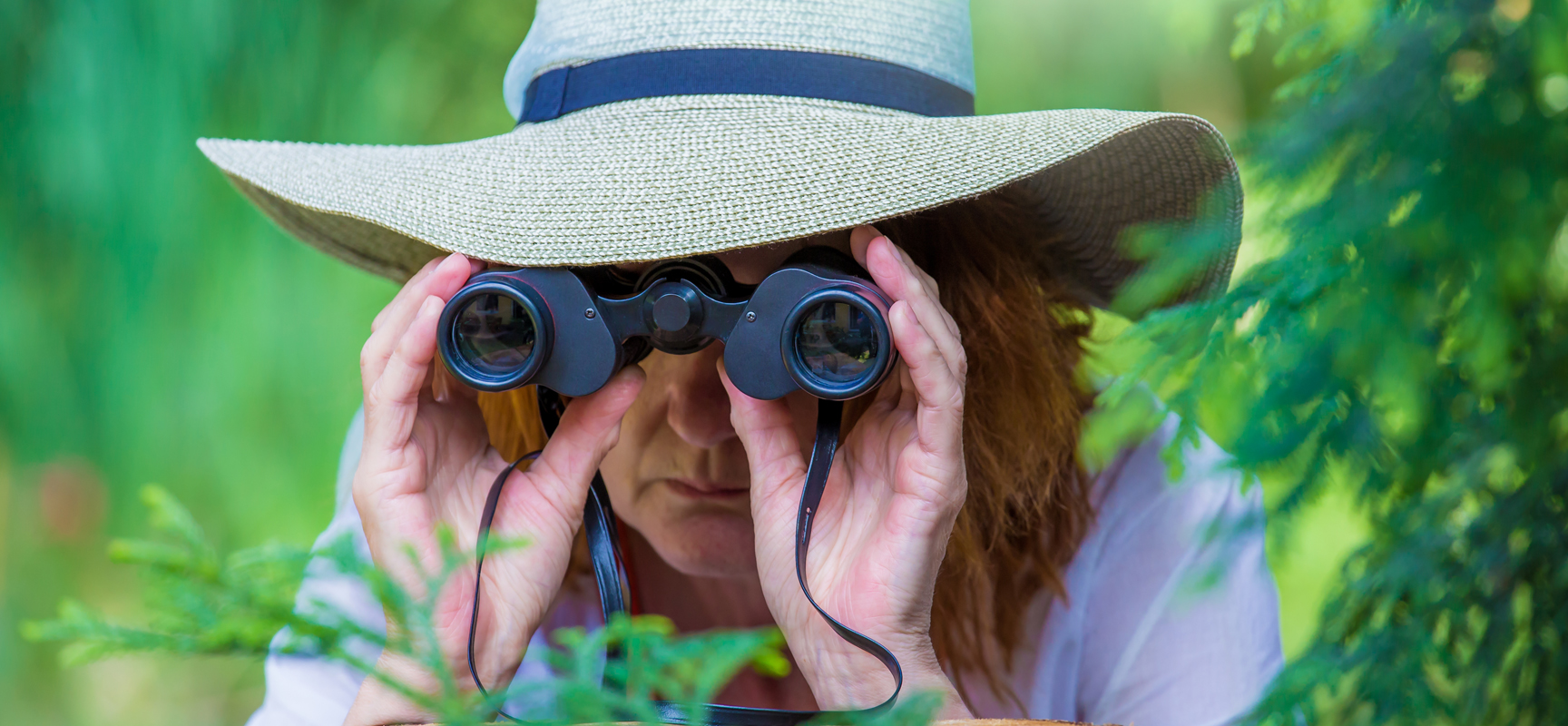 Binoculars blog